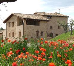 Hotel Mas Del Rei