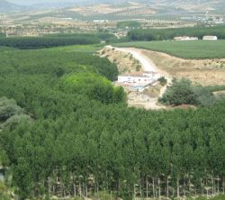 Cortijo Del Guarda