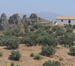 Cortijo Vaquero Rural